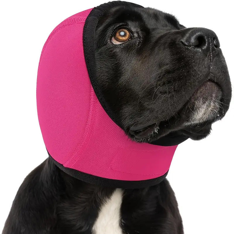 Calm Your Dog. Anywhere. Anytime.