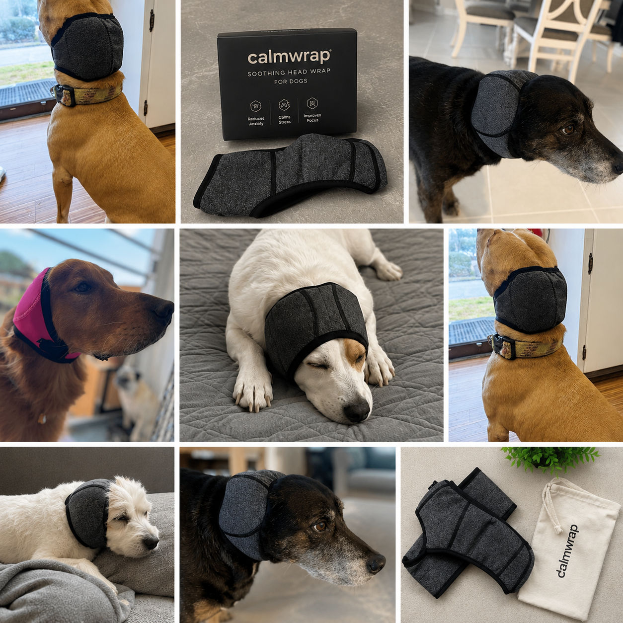 See Why Thousands of Dog Owners
